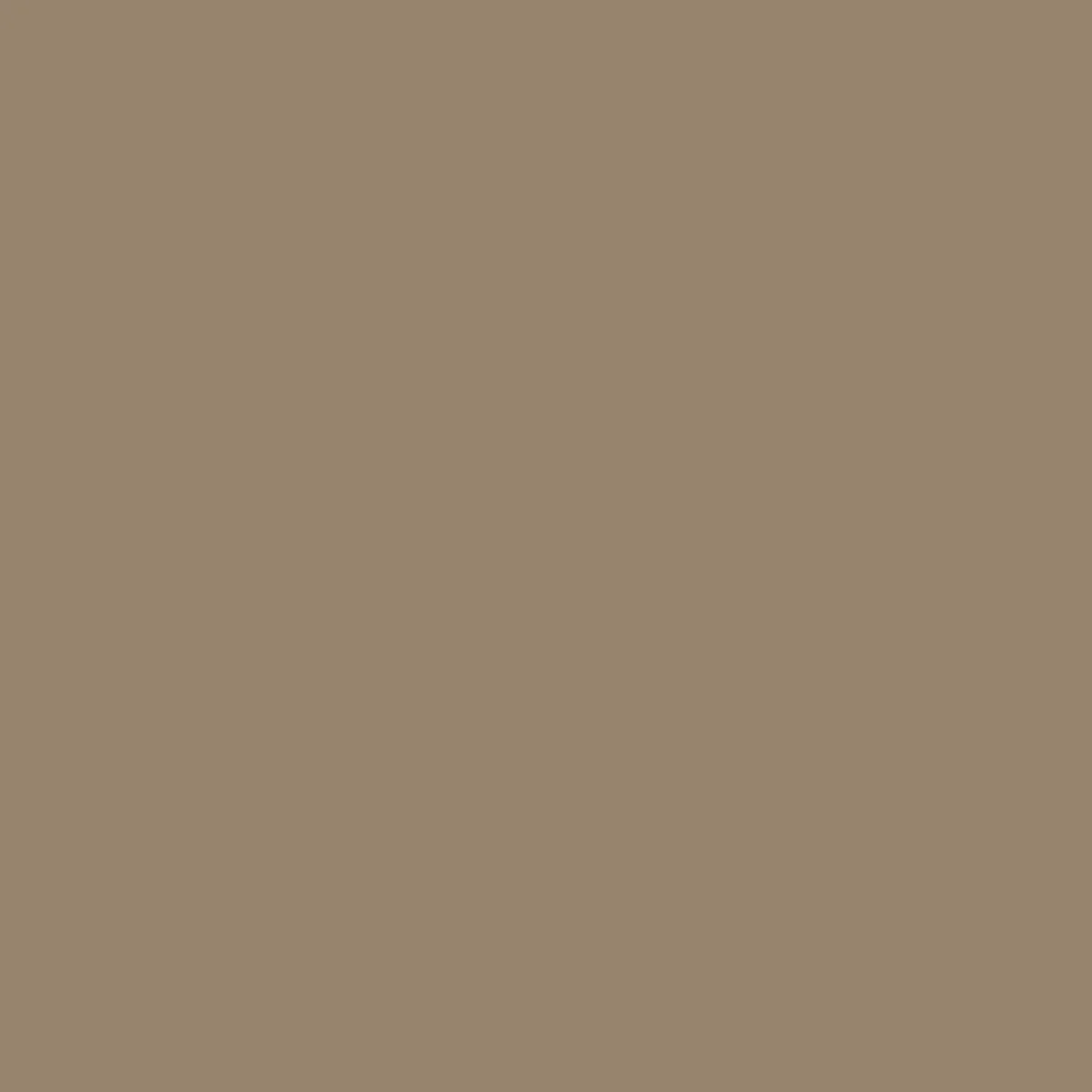 Timeless Organic Cotton Short - Biscuit - Image 8